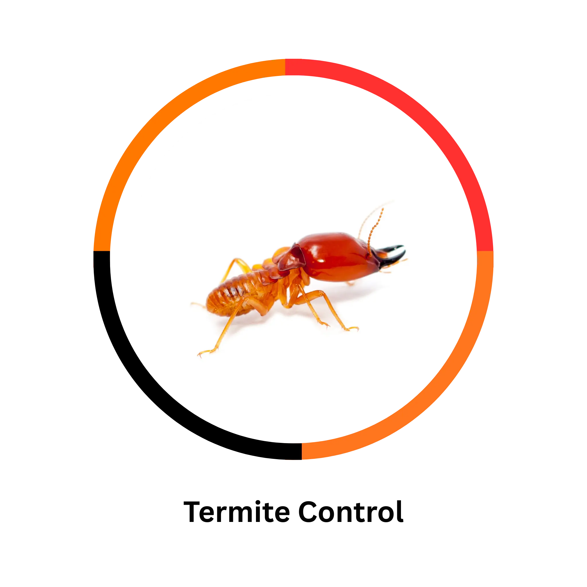 4 pro